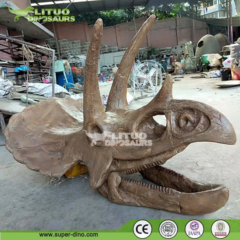 実物大のリアルなトリケラトプスの頭蓋骨（博物館用）| Alibaba.com