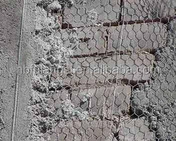 Galvanized Chicken Wire Mesh for Plaster