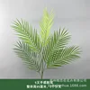 5-pronged-hand-feel sunflower leaf