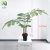 Un verde da 170 cm