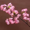 10#pink