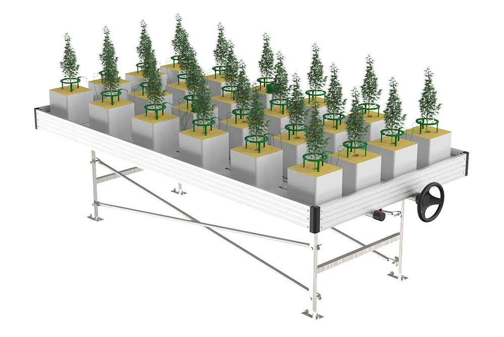 Hydroponic 5inch Facilities Irrigation Drip Ring With Hose For Garden