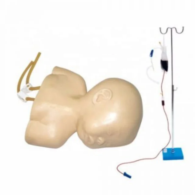 DARHMMY  Advanced Infant Head Venipuncture Training Demonstration Model