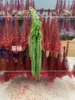 verde erba
