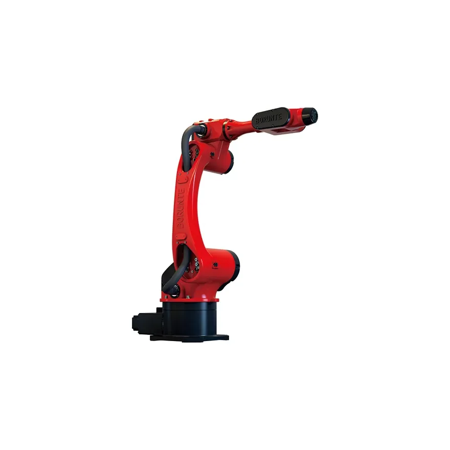 Borunte hot sale robot price