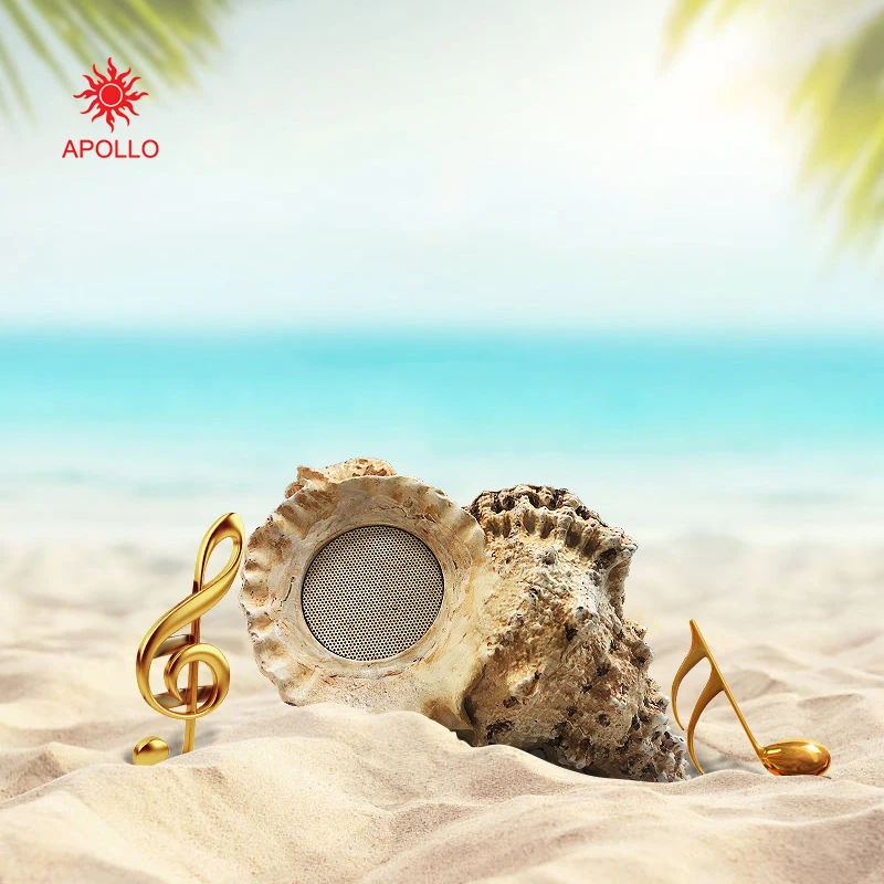 Conch Art Bluetooth Speaker Decoration HD Stereo Sound Original Seashell Cheap Best Gift for Home Office Bookshelf Wireless