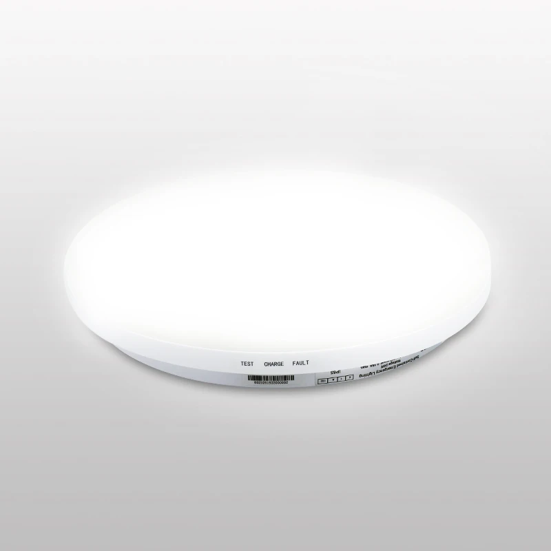 Современный потолочный/настенный аварийный светильник 24 Вт Ip65 светодиодная душевая лампа водонепроницаемый светодиодный потолочный