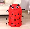 Red lady bug
