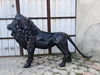 Comme sur l'image