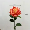 สีส้มเหลือง