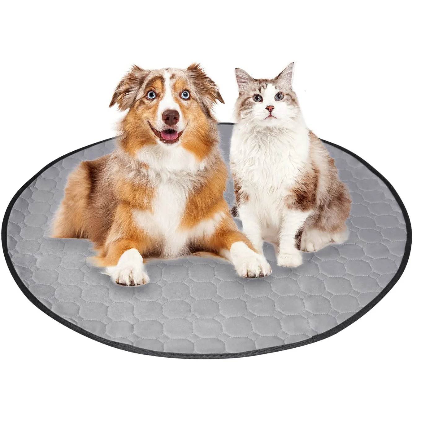 Reusable Non Slip Pet Urine Pad