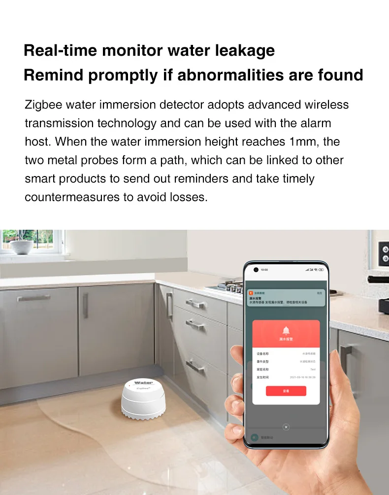 Zigbee-SQ500B (2).jpg