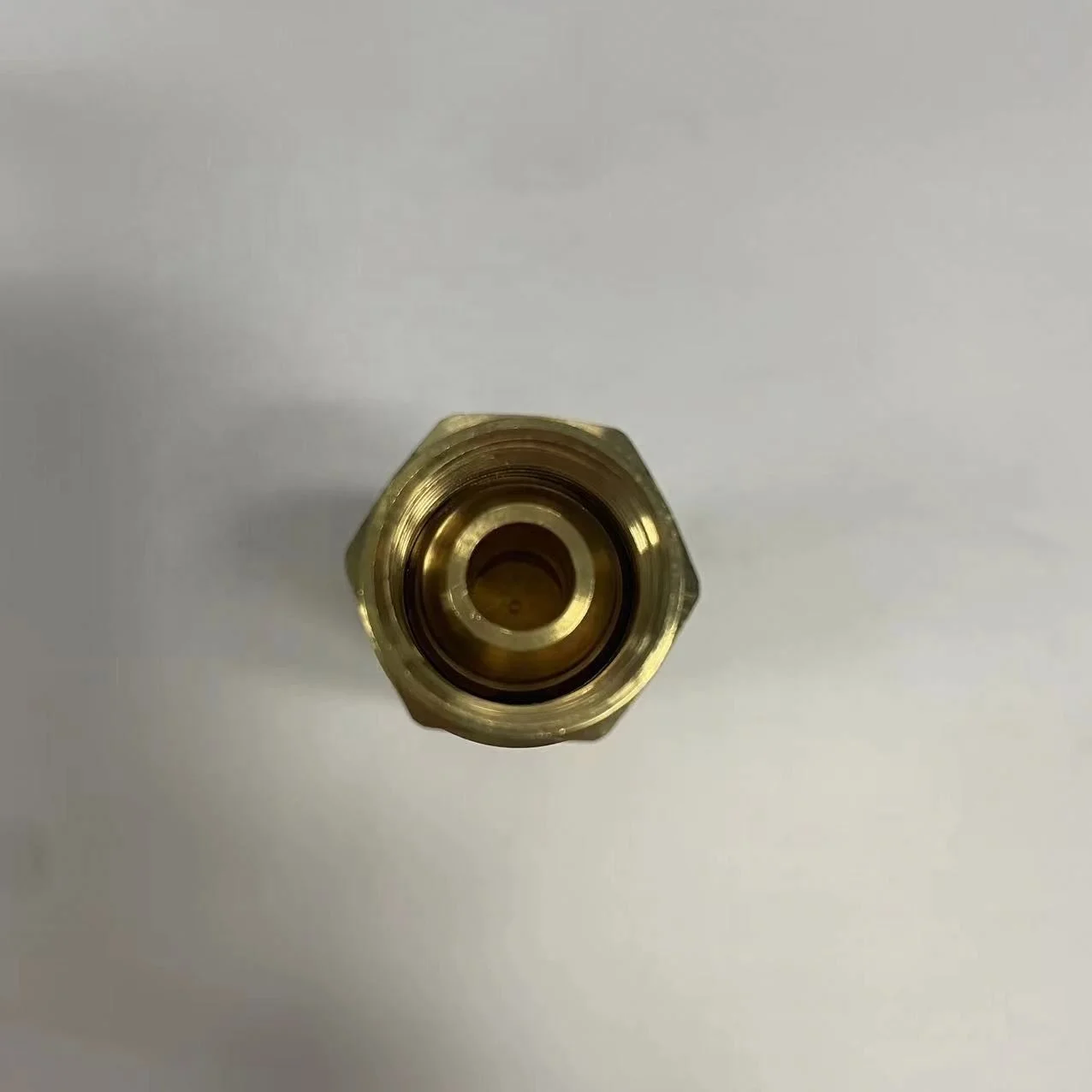 0647584 Internal Thread Flame Arrestor for Safe Gas Handling