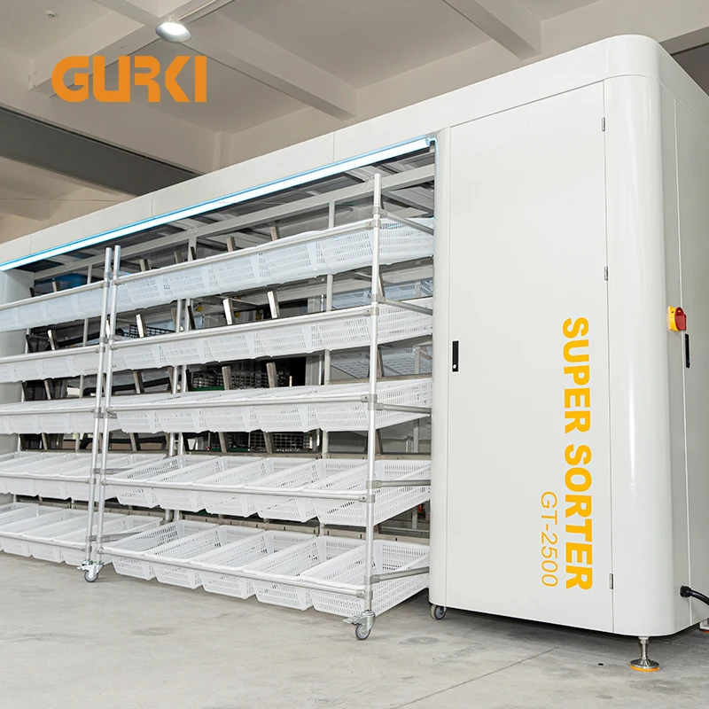GURKI Automatic Seeding System Parcel Sorter Put Wall 3D Sorting Machine for E-commerce Logistics