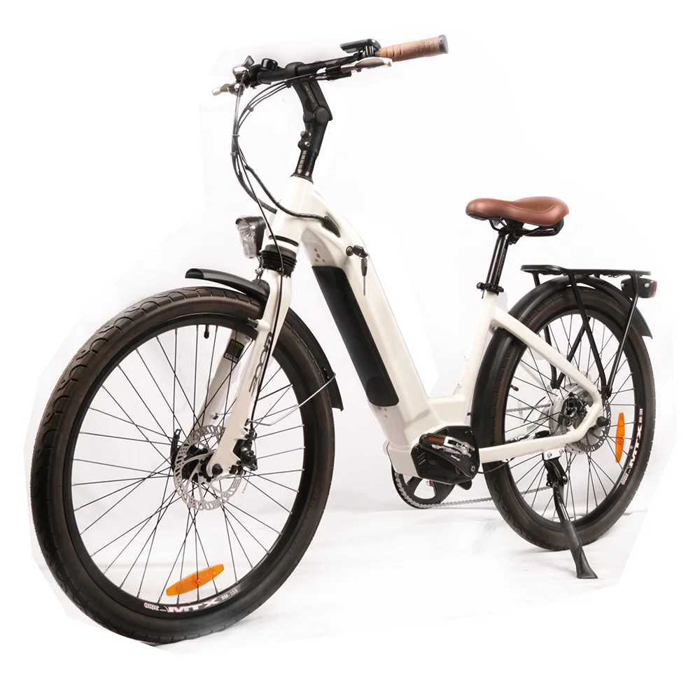 electric cycle used