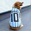 colorful White and blue No. 10 Argentina