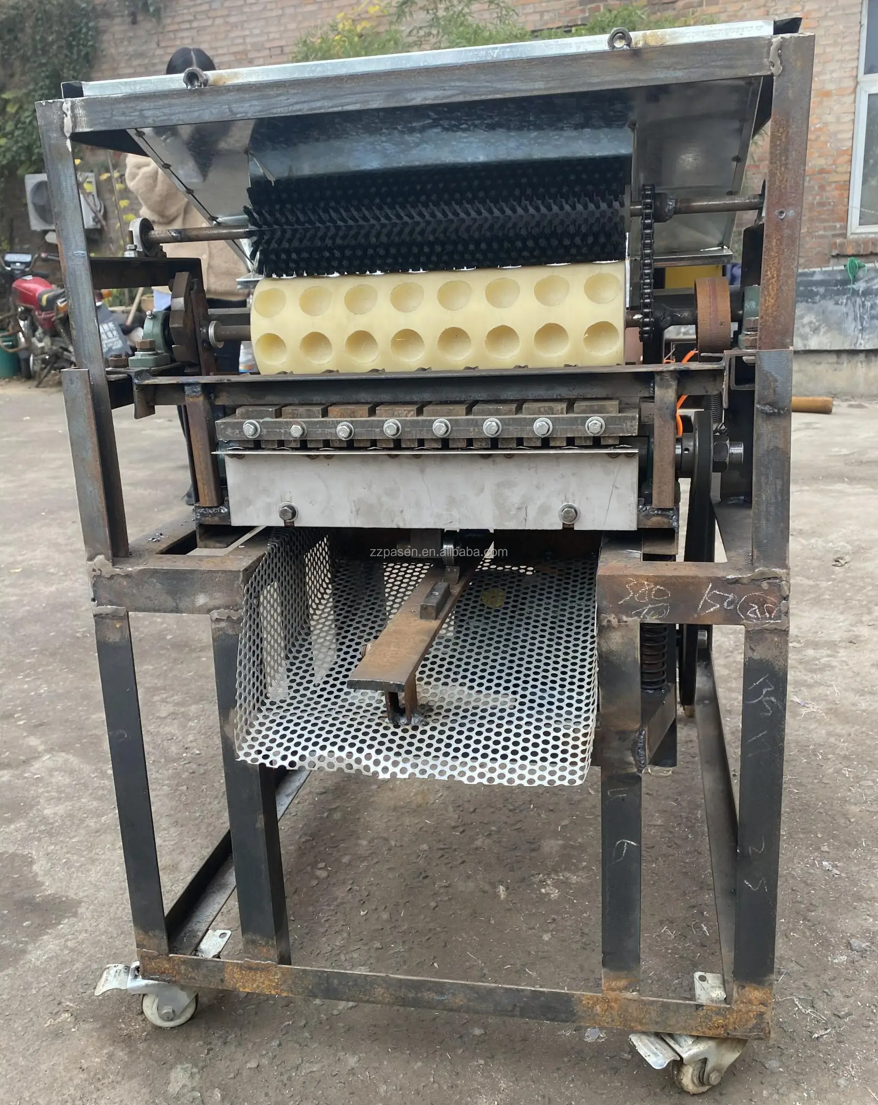 Fully Automatic Macadamia Nut Saw Machine Macadamia Nut Opening Machine Electric Macadamia Nut Cracker Machine