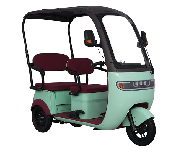 Passenger and cargo electric tricycle 60V20Ah Disabled electric tricycle Scooter Adult electric tricycle