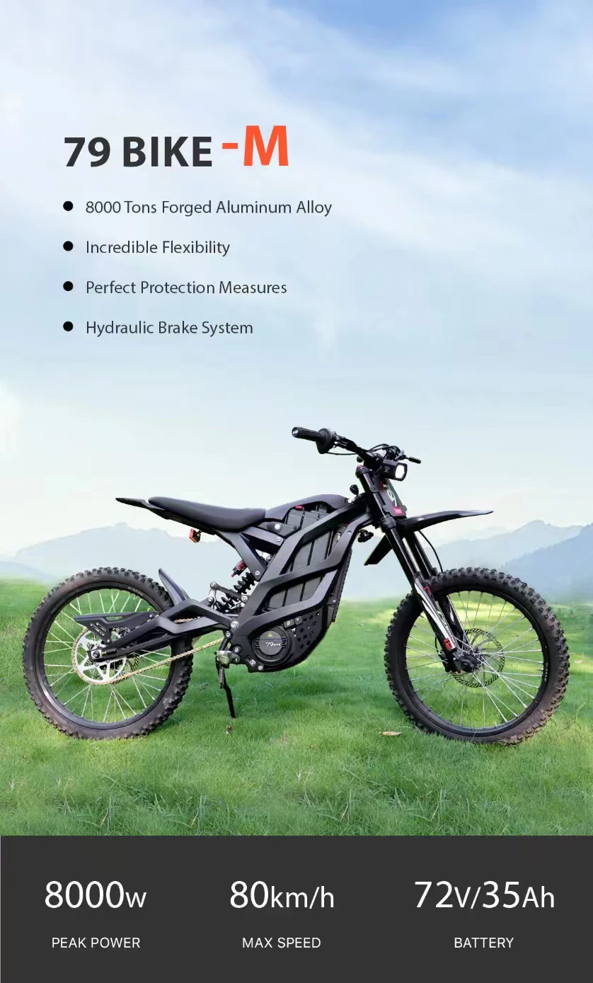 Cheap electric dirt bikes 79 bike m high power 8000w off road mtb