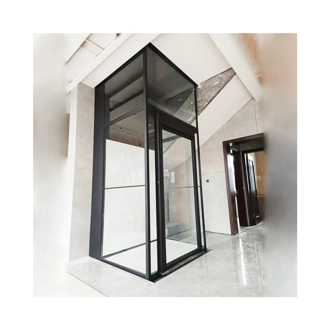 320KG 400KG Small Home Lift 12Year Supplier Residential Elevator For Villa