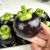 Blocchi di costruzione di mangostano croccante