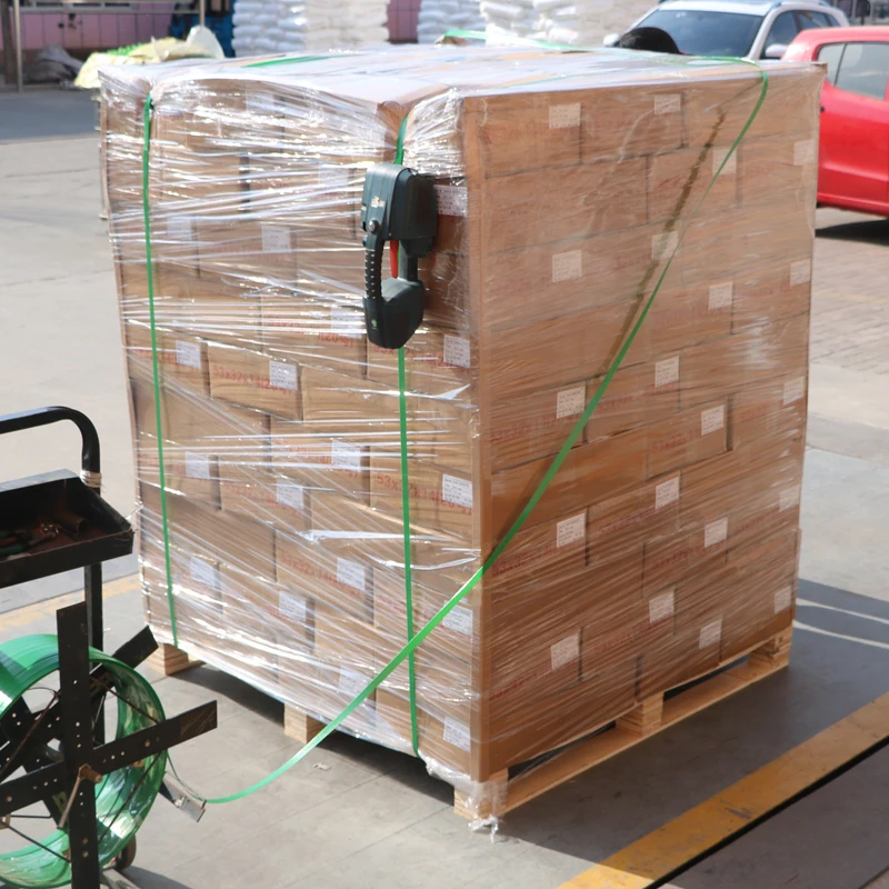 Bcm119 Gas Meter Security Seals Polycarbonate Meter Seal Blue Gas Meter