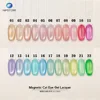 Magnetic Cat Eye Gel Lacquer