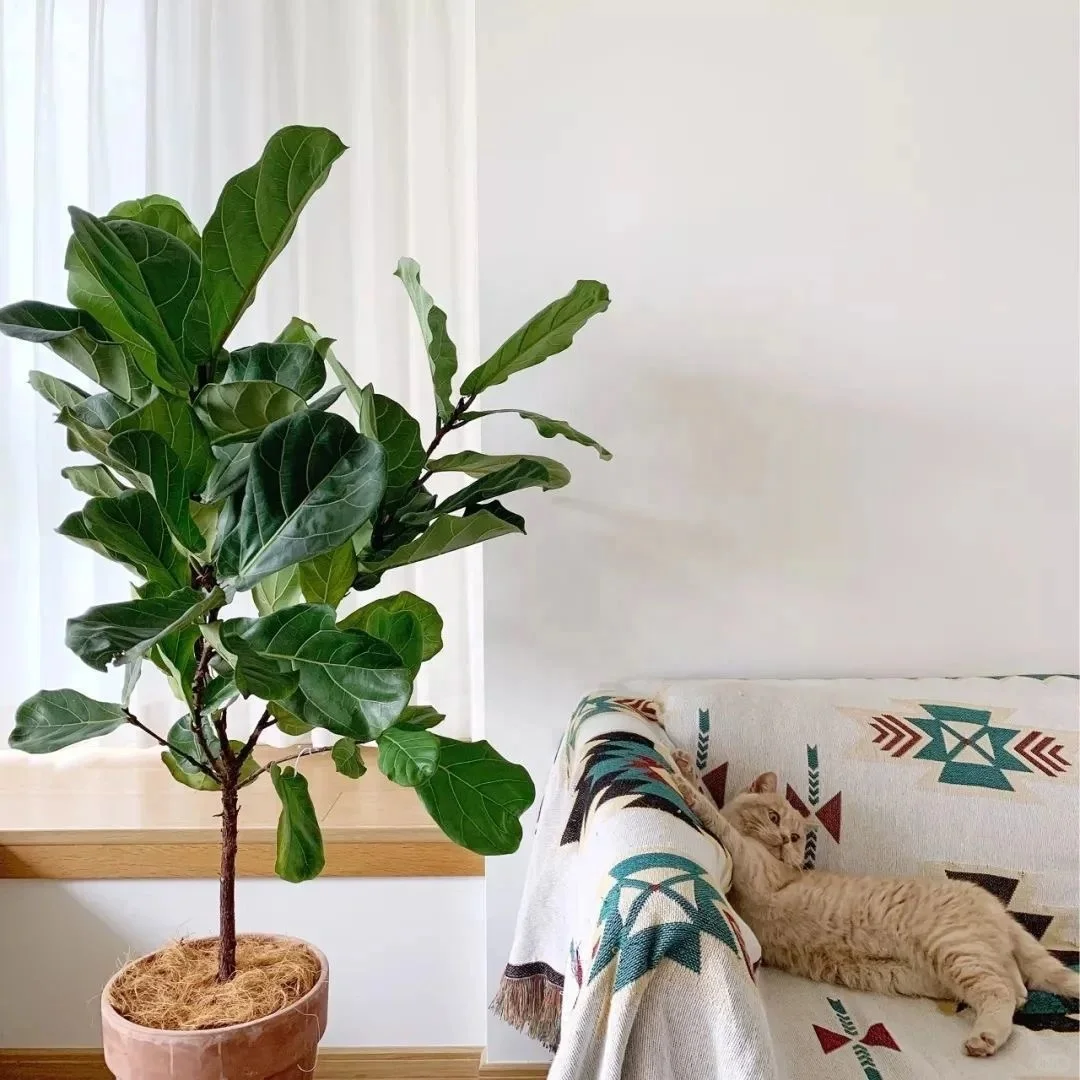 Искусственное растение для домашнего декора искусственное двери с множеством стилей имитация скрипки дерево