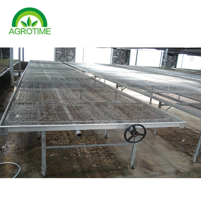 Hemp growing Greenhouse