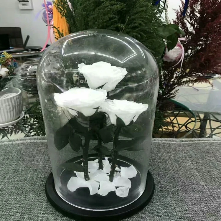 Beautiful A Grade Real Touch Preserved Rose Head 56 Cm Rose Bud 6