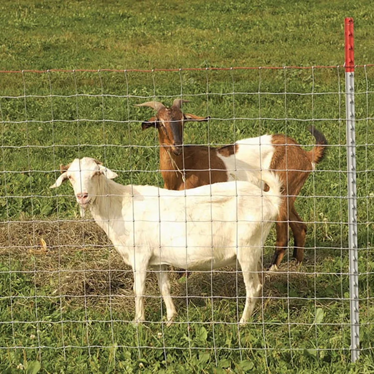 Veldspan Farm Filed Fence Cattle Sheep Deer Farm Fence| Alibaba.com