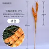 Espigas de trigo naranja
