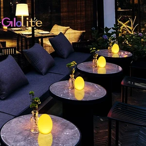 Factory Direct Modern LED Dimmable Table Lamp for Home and Restaurant Rechargeable Plastic Body for Bedrooms and Hotels