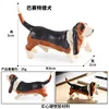 colorido 3589 Basset Hound