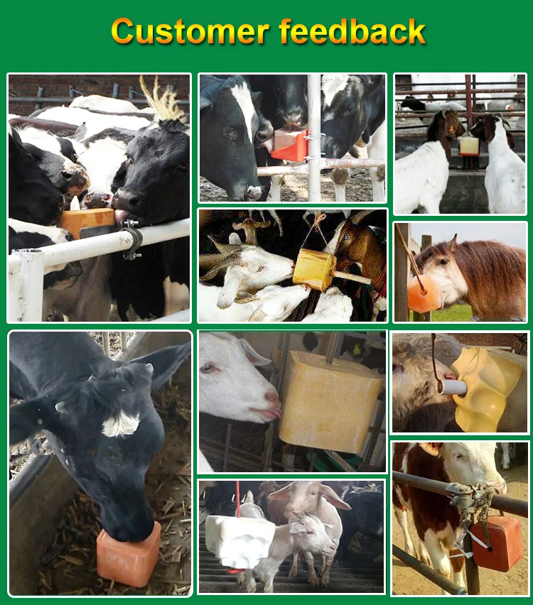 Multifunction Pure Natural Cattle Salt Licks Horse Sheep Animal Licking