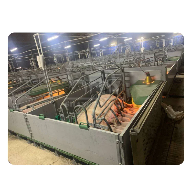 Farrowing Crates For Pigs Pig Farming Business Plan Factories For Sale