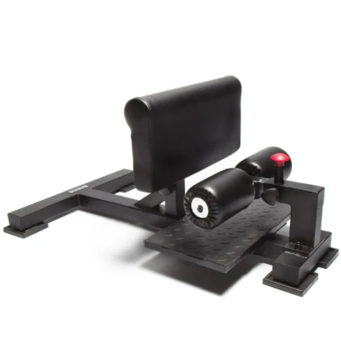 Gym Hip Trainer Sit up Machine for Sissy Squat Machine and Sissy Abdominal Workout Gym Machine