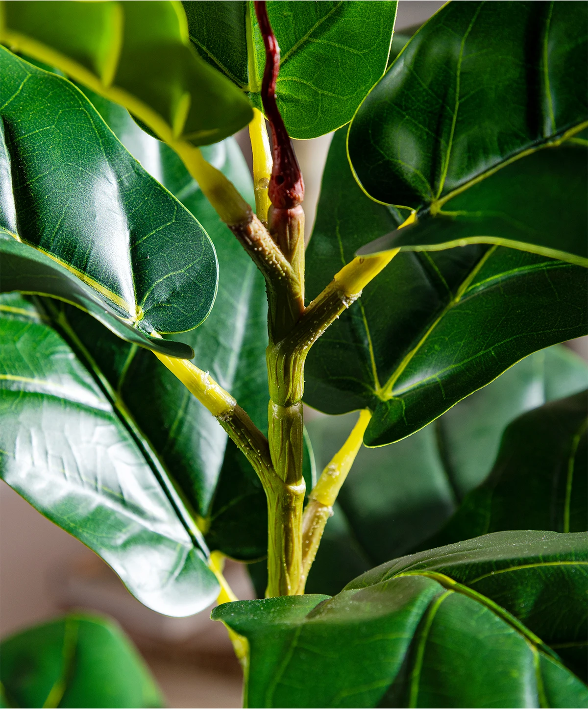 Indoor/Outdoor Decorative Plastic Ficus Pandurata Tree Similar Glass Pine Ficus Religiosa Panel for Landscape Wedding House manufacture