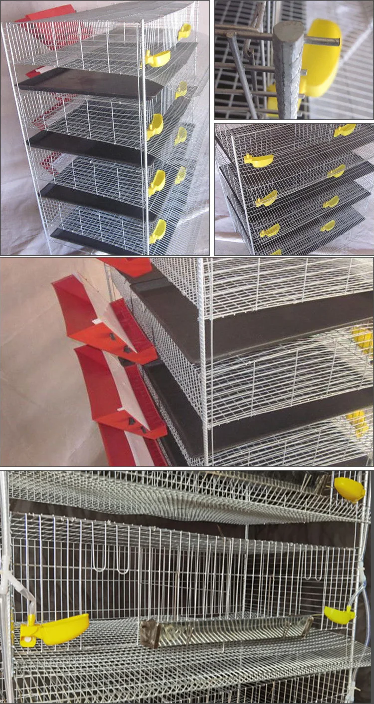 Poultry Farming Quail Brooder Cage Quail Cages For Egg Production Quail