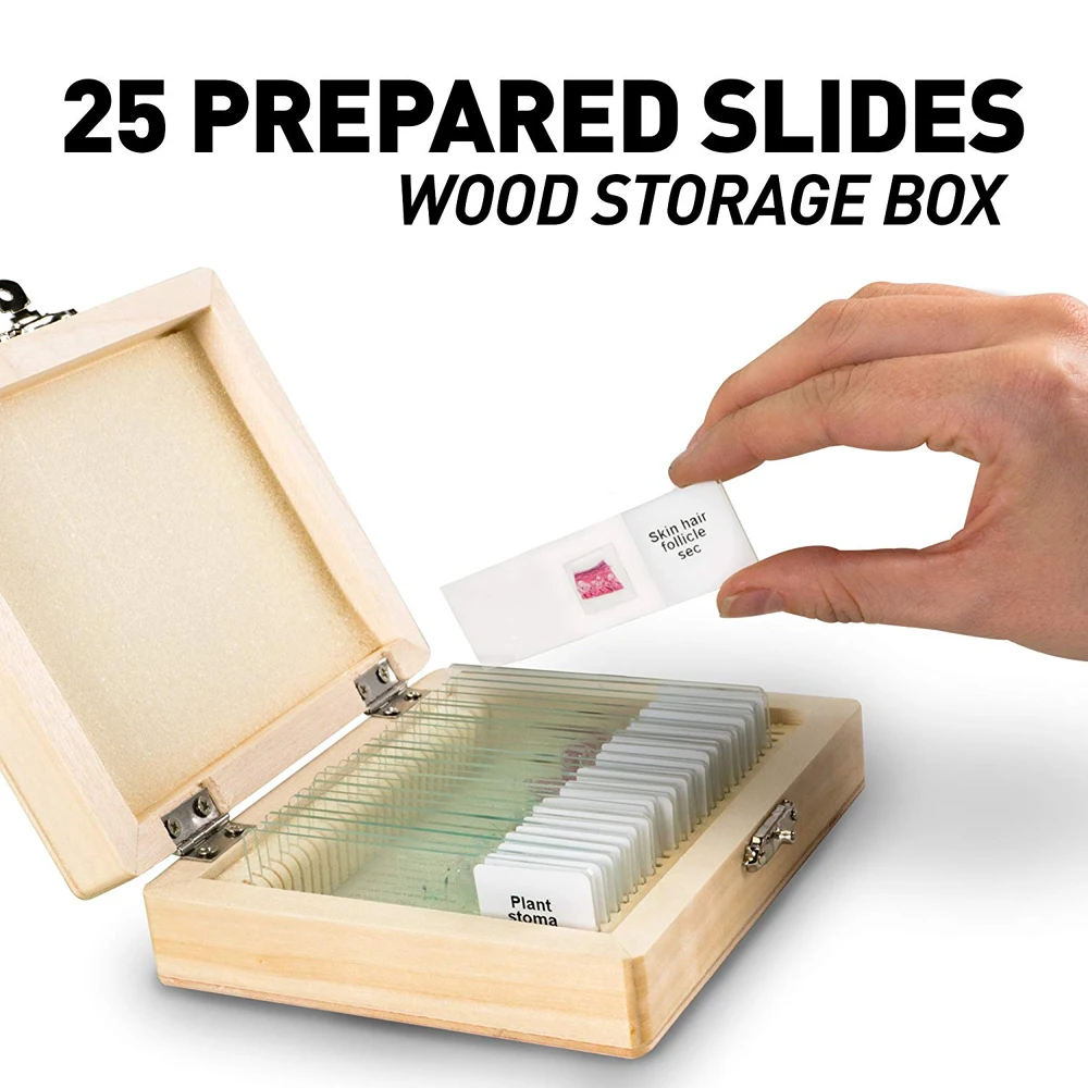 Медицинские Учебные пособия, использованные в качестве учебных принадлежностей