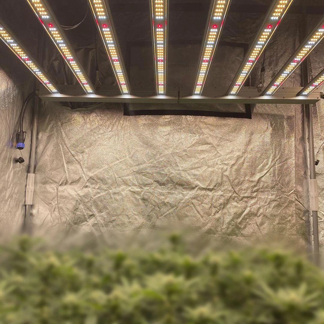 Sunritek MH8 Drop Shipping 660w Foldable Hydroponic Horticulture Indoor Led Grow Light Spectrum VS Led Grow Light samsung Lm301h