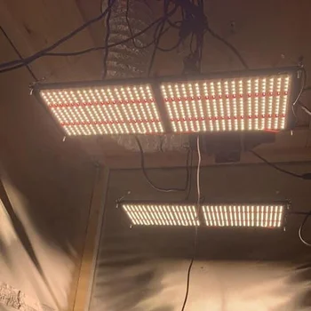Meiju QB288 240W LED Grow Light - 3000K/3500K, 50000 Saat Ömür