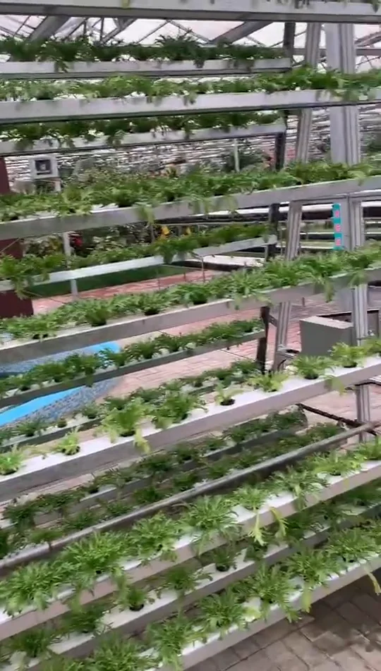 Nft Food Grade Gully Pvc Hydroponics Growing Channel Agricultural