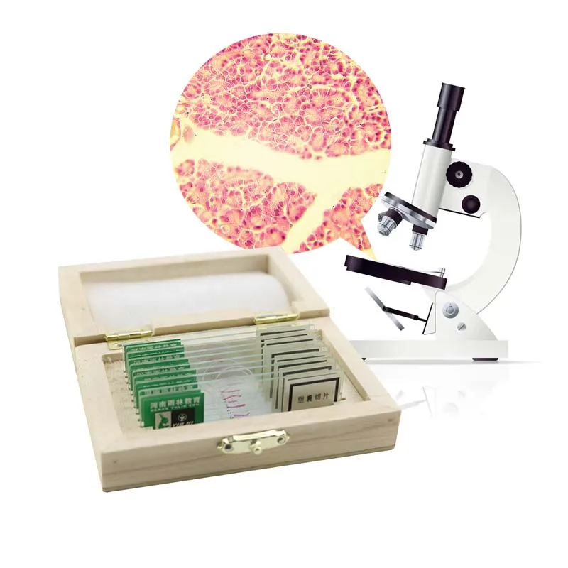 100 видов медицинских научных микроскопов, человеческие ткани, специальные предметы, гистологические предметы