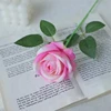 Sette colori rosa