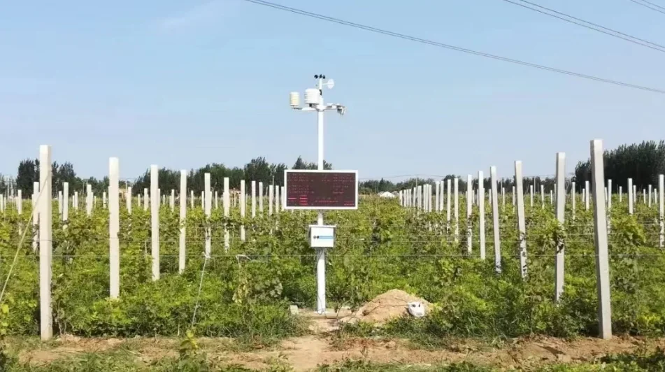 RYQ-4 Agricultural Soil Three-in-One Sensor Measures Temperature Moisture and Salt Monitoring Sensor and Soil Tension Sensor details