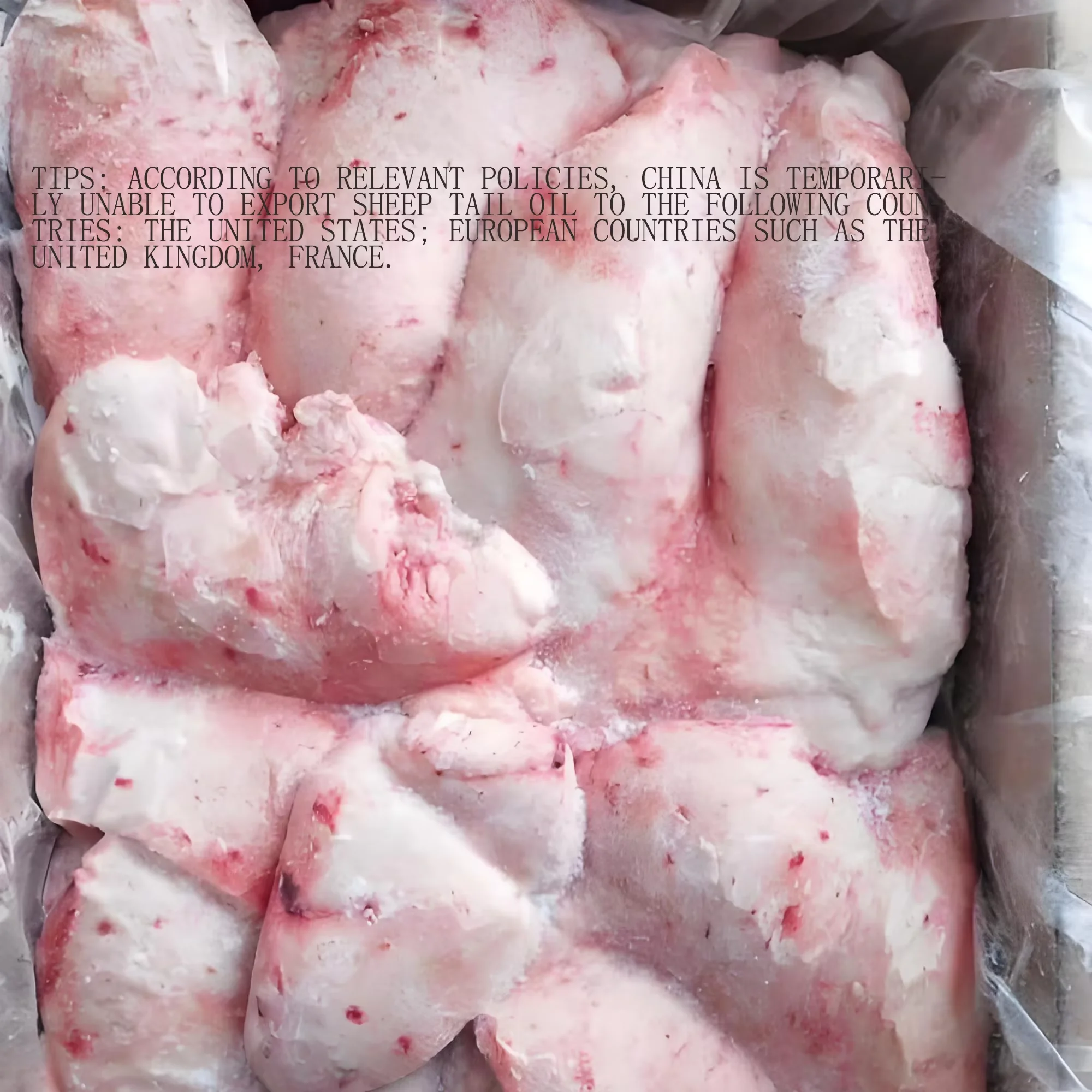 Kvalitní mražený halalový jehněčí tuk z ocasu k dispozici, mražený jehněčí tuk z ocasu na prodej