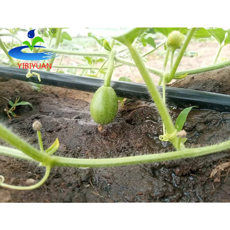 Full Irrigation System for Landscapng Irrigation Sistemm Una Hectarea Drip Tape 3 Hectares Irrigation Drip Pipe