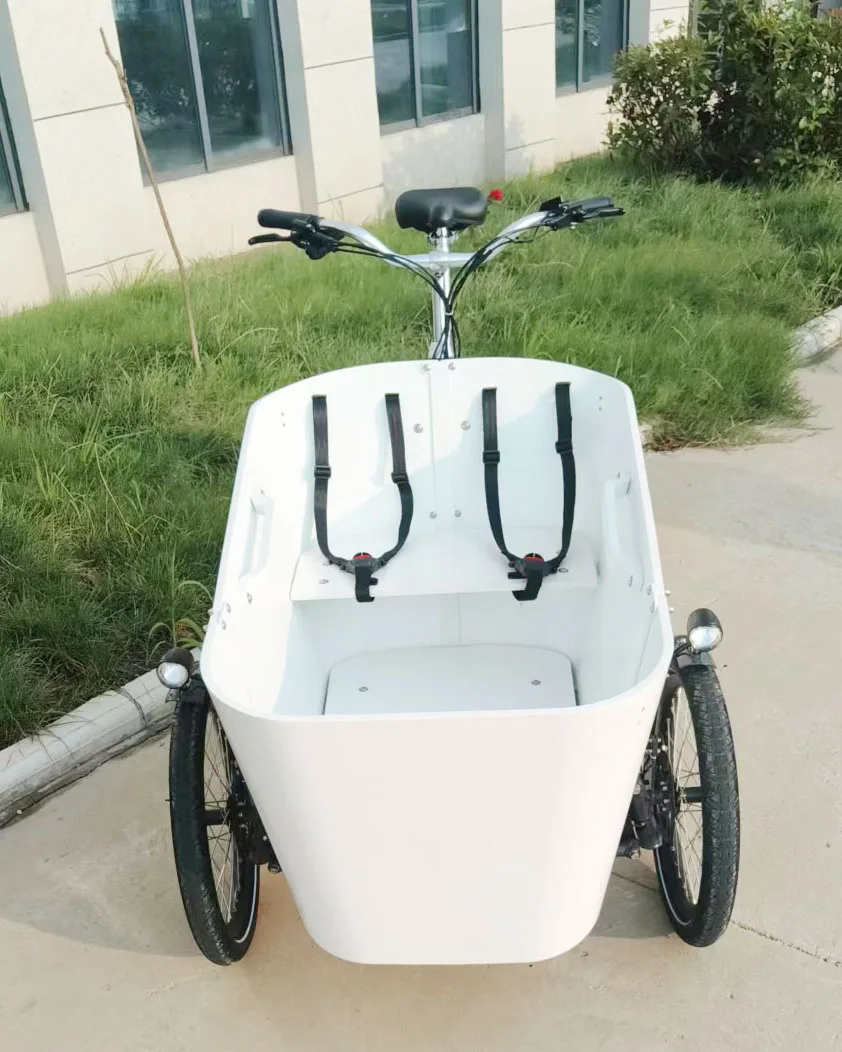 Balance Swing Goods Kids Carrier Cargo Tricycle Long Family Ecargo