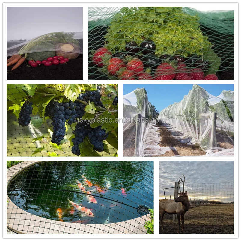 Heavy Duty Blueberry Netting Clear Trellis Netting Vineyard Anti Bird